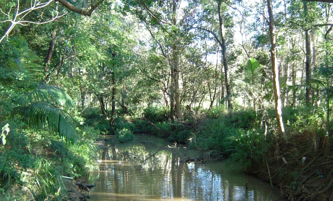 bulimba creek, carindale, brisbane