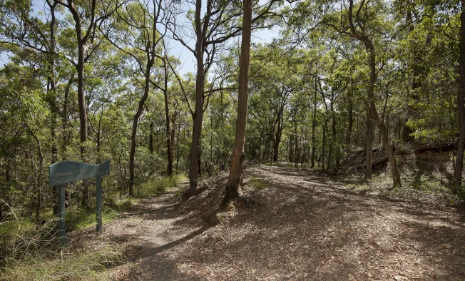 whites hill reserve, camp hill, brisbane